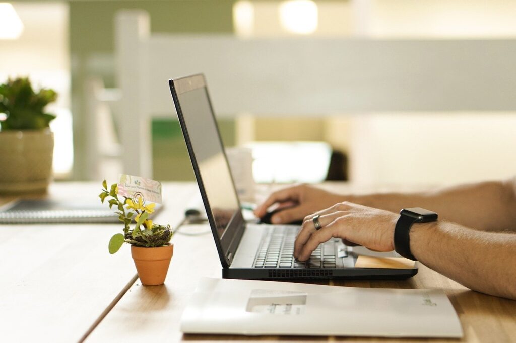 plant, workstation, laptop